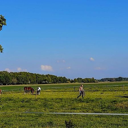 Chalet Weizicht Op Minicamping Hoogelande Grijpskerke Kültér fotó