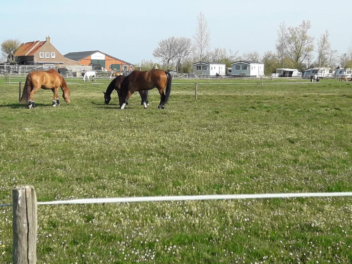 Chalet Weizicht Op Minicamping Hoogelande Grijpskerke Kültér fotó