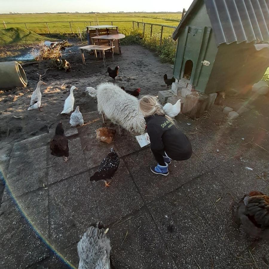 Chalet Weizicht Op Minicamping Hoogelande Grijpskerke Kültér fotó